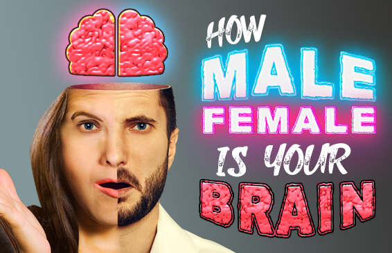 BrainFall.com | How Male/Female Is Your Brain?